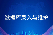 数据库录入与维护